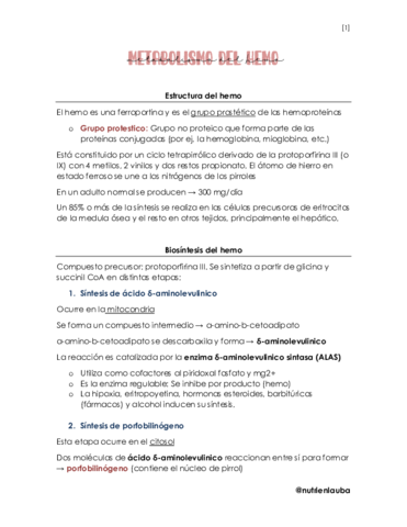 Metabolismo-del-hemo.pdf