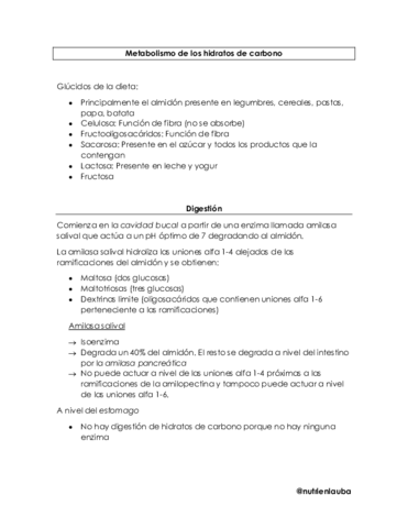 Metabolismo-de-los-hidratos-de-carbono.pdf