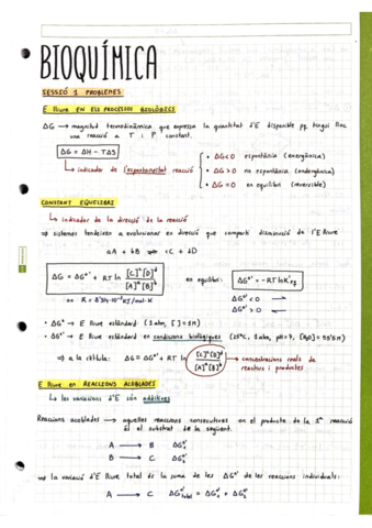 Bioquimica-Problemes.pdf