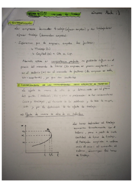 Tema 7.pdf