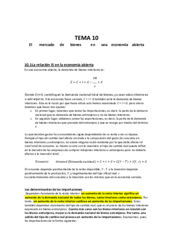 Tema-10-macro.pdf