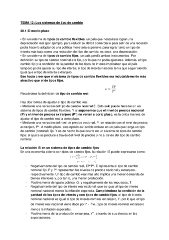 TEMA-12-Los-sistemas-de-tipo-de-cambio.pdf