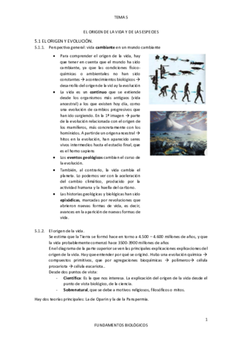 TEMA-5.pdf