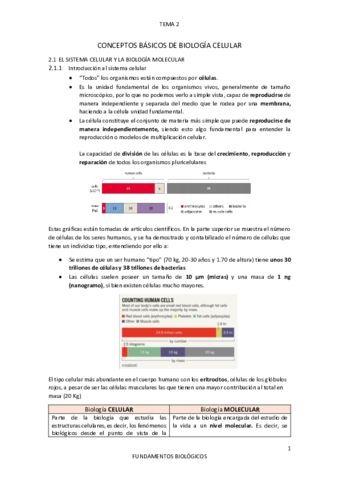 TEMA-2.pdf