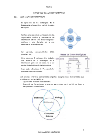 TEMA12.pdf
