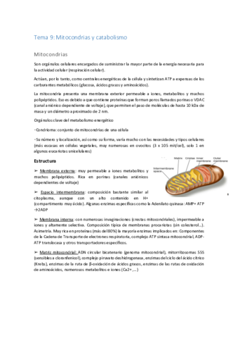 Tema-9-bcm.pdf