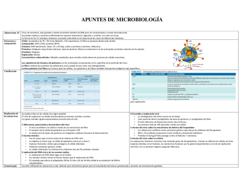 APUNTES-DE-MICRO.pdf