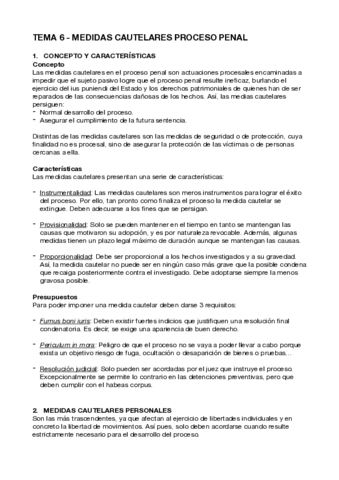 Tema-6-Medidas-cautelares.pdf