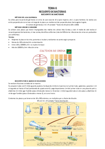 Tema-6.pdf