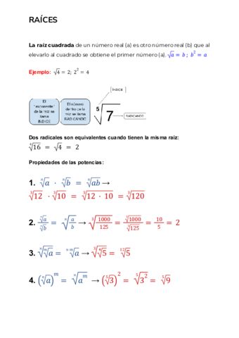 Raices.pdf