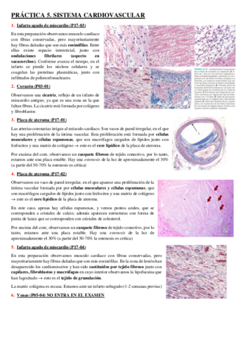 APUNTES-PRACTICAS-5-12-AP.pdf