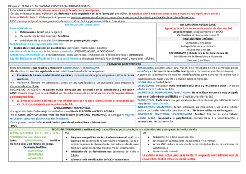 bloque-7-Tema-7.pdf