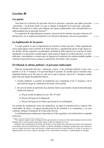 TEMA-30.pdf