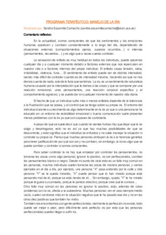 PROGRAMA-TERAPEUTICO.pdf