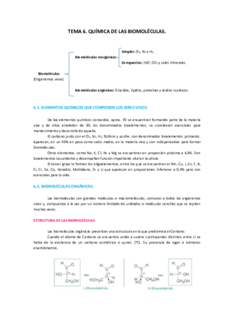 Resumen-Tema-6-Quimica-de-las-Biomoleculas.pdf