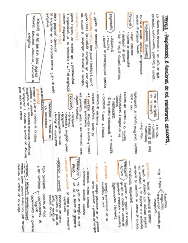 ESQUEMAS-BLOQUE-II-FISIOLOGIA.pdf