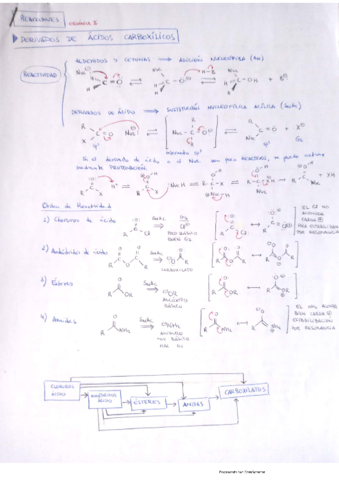 Reacciones-Organica-II.pdf
