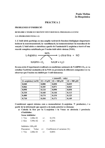 Rim-practica-2.pdf