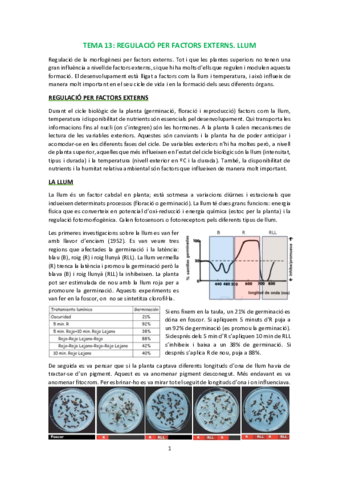 T13.pdf