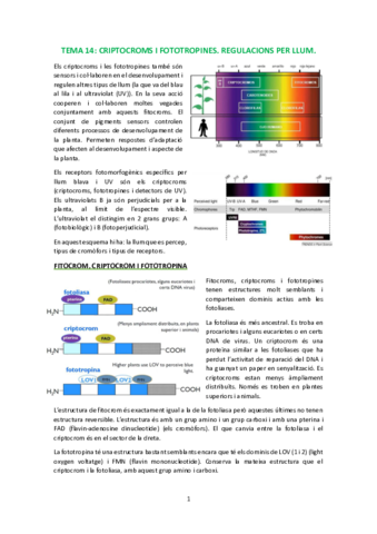 T14.pdf