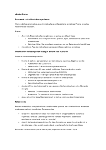 Anabolismo.pdf