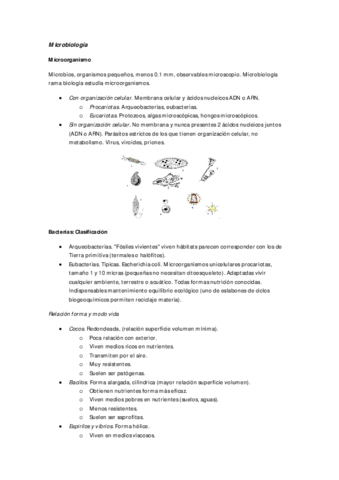 Microbiologia.pdf