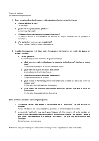 Pancreas-glucemia-meninges-partes-y-actos.pdf
