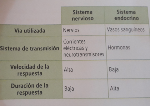 Imagenes-ilustradoras-e-info.pdf