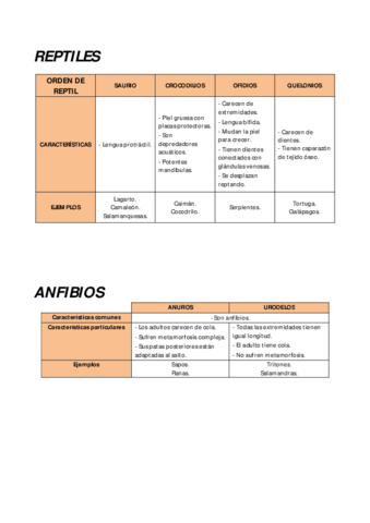 Reptiles-Anfibios-Euterios-y-Homo-sapiens.pdf