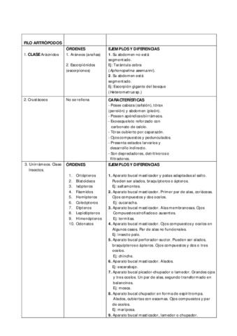 Artropodos-clases-y-ordenes.pdf