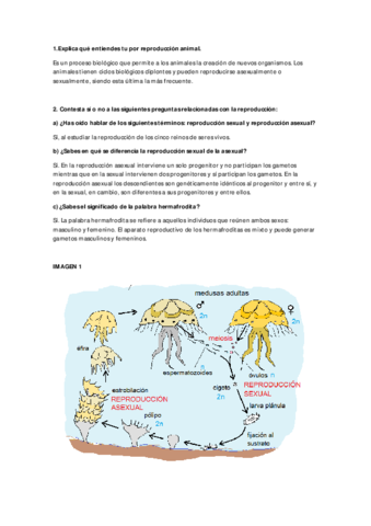 Reproduccion-animal.pdf