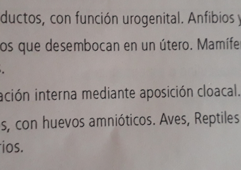 Imagenes-ilustradoras-e-info.pdf