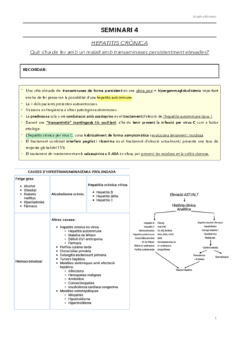 SEMINARI-4.pdf