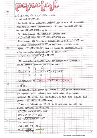 Parcial noviembre 2020