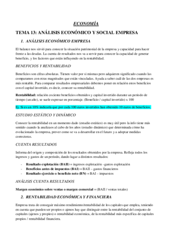 tema-13-analisis-economico-y-social-empresa.pdf