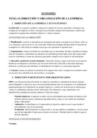 tema-14-direccion-y-organizacion-empresa.pdf