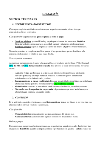 SECTOR-TERCIARIO.pdf