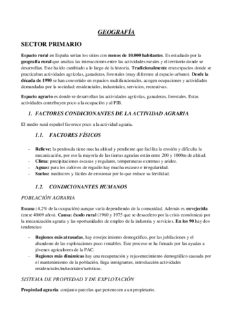 SECTOR-PRIMARIO.pdf