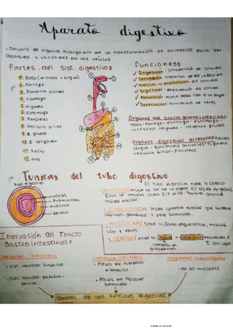 digestivo-.pdf