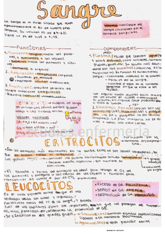 sangre.pdf
