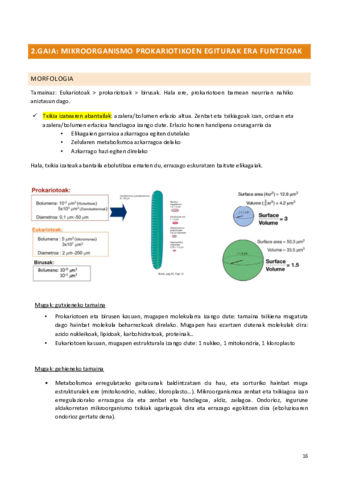 Mikro-2.pdf