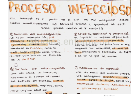 proceso-infeccioso.pdf