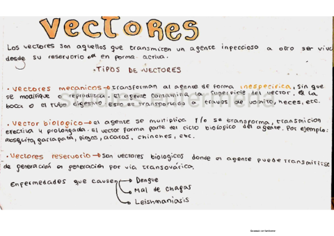 vectores-y-ectoparasitos.pdf