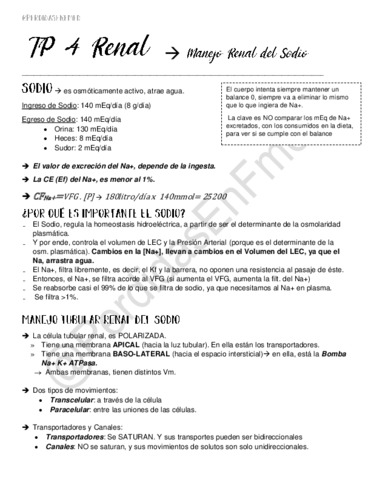 Manejo-Renal-del-Sodio.pdf
