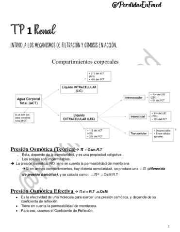 Mecanismos-de-filtracion-y-osmosis.pdf