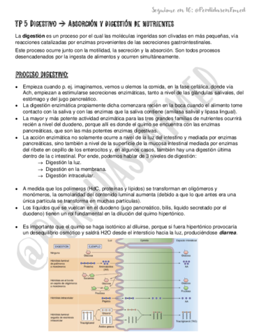 5-Absorcion-de-nutrientes.pdf