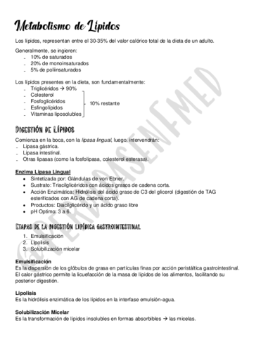 Metabolismo-de-Lipidos.pdf