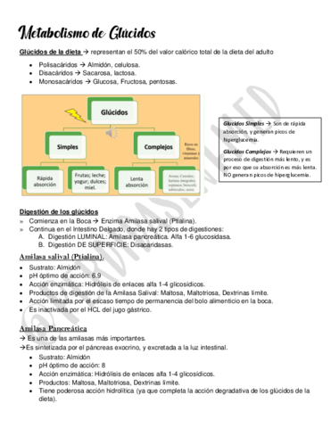 Metabolismo-de-Glucidos.pdf