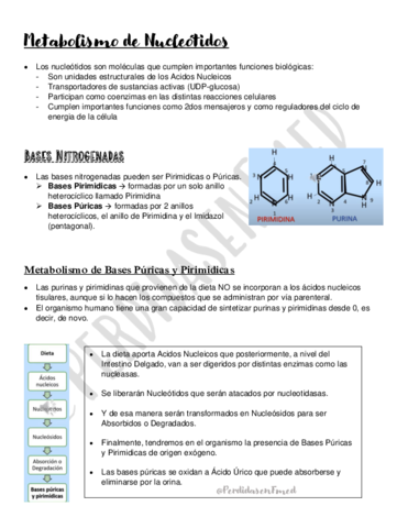 Metabolismo-de-Nucleotidos.pdf