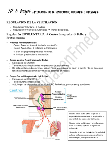 TP-5-Regulacion-de-la-ventilacion.pdf